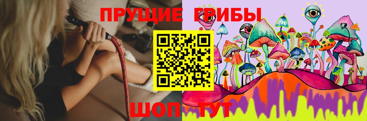 Галлюциногенные грибы Psilocybe Новороссийск