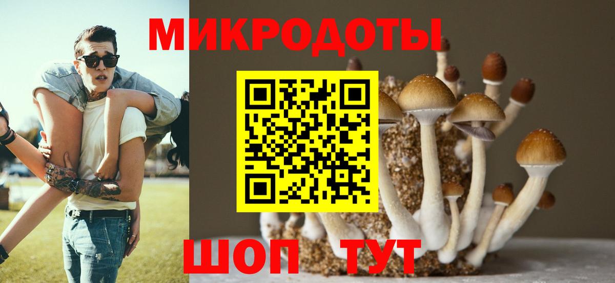 Новороссийск  Псилоцибиновые грибы прущие грибы  Вход с VPN 